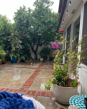 Lisa Whelchel Instagram - Sitting outside on our patio experiencing this novel weather, listening to the varietal tunes of the manifold soul that is @richman_jonathan. My honey made Hurricanes for the occasion. L’Chaim 🥂
