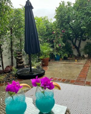Lisa Whelchel Instagram - Sitting outside on our patio experiencing this novel weather, listening to the varietal tunes of the manifold soul that is @richman_jonathan. My honey made Hurricanes for the occasion. L’Chaim 🥂