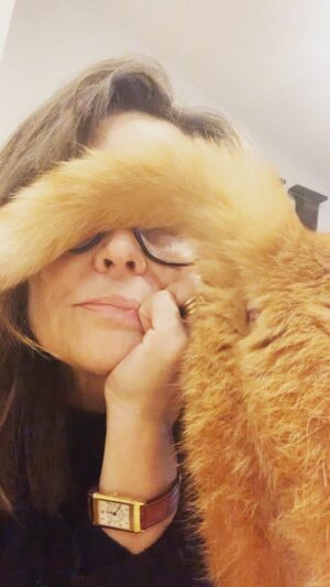 Lisa Wilkinson Instagram - What happens whenever I take no notice… 🐈😏

Lana del Puss Puss by name…and nature.

#catsofinstagram
