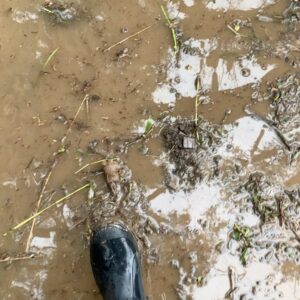 Lisa Wilkinson Instagram - It’s just about impossible for me to put into words what I’ve seen on the ground here in Lismore this week. Lives and livelihoods destroyed, hearts broken, homes beyond repair, their entire contents - everything these beautiful families once held dear - now mud-soaked and strewn in metres-high piles on the footpath awaiting giant garbage trucks heading for the tip. Tables they once sat at, beds they once slept in, photos they once cherished, bikes, dolls, toys, fridges, TVs…every momento part of someone’s story, every broken tile a piece of someone’s home. 
I’ve found myself as we’ve walked these streets, imagining the robust lives that just two weeks ago were being lived here never knowing what was heading their way. These homes are now empty, most uninhabitable, their windows wide open hoping to extinguish the unmistakable gut-punching smell that floods leave behind. It’s the smell of death, rotting garbage, raw sewerage and mud. There are no dogs barking or birds tweeting, it’s just silent and that’s not what this area is. It’s normally so loud and colourful and now all you hear is the sound of gurneys and generators and helicopters. 
The devastation here is unimaginable, thousands upon thousands of people have been displaced, living in temporary accomodation, many living off the kindness of strangers. Those who are still here are raw, exhausted, and running on adrenaline, but the community spirit is incredible. That alone though won’t keep them going. Government response and assistance has been slow and in some cases non-existent, many are uninsured because of sky-high premiums, and tricky clauses…so they desperately need our help. This will take years to fix. So if you can spare anything at all, the following organisations are doing wonderful work not just in Lismore, but in ALL the affected flood zones of the last few weeks in NSW and QLD. Whatever you can spare, thank u. And please know it WILL make a difference🙏💔

@givit_aus
@lifelineaustralia 
@salvosau
@aussiehelpinghands 
@redcrossau 

Let’s do this!!! 🇦🇺

#flood #floods #lismore 

St Carthage’s Cathedral 📸 by Kirran Shah.