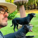 Lisette Morelos Instagram - Un día como hoy en 2015 llego a casa Lilith! Gracias negra por estos años maravillosos!!!! Te amo! Gracias @ericasanchezsu y a @escul_can por hacer esto posible! Feliz cumpleaños Lilith!!!!! 🥰😍 #adoptdontshop #standupforpits