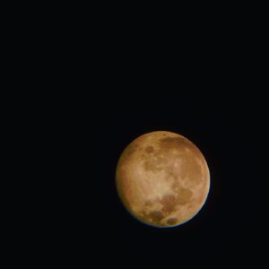 Lisette Morelos Instagram - Ya vieron la luna? #nature #moon #wiccan #wicca