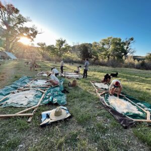Lisseth Chavez Instagram - Left civilization for a week and came back with a tribe! 🐐

HIDE CAMP: Where we spent a week unplugged, communing with goats, whispered to cottonwood trees, danced under the stars around crackling fires. 

We went back to basics & embraced our primitive ancestral skills. 

A huge Thank you thank you to @caprakhan & Rain Gorenc for guiding and sharing this experience with us🤍 
Thank you for teaching us old ways, for sharing your home with us, for the memories we created, I’m Truly grateful for it alllll 🥹🙏🏽