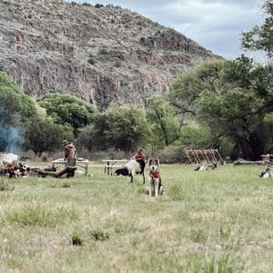 Lisseth Chavez Instagram - Left civilization for a week and came back with a tribe! 🐐

HIDE CAMP: Where we spent a week unplugged, communing with goats, whispered to cottonwood trees, danced under the stars around crackling fires. 

We went back to basics & embraced our primitive ancestral skills. 

A huge Thank you thank you to @caprakhan & Rain Gorenc for guiding and sharing this experience with us🤍 
Thank you for teaching us old ways, for sharing your home with us, for the memories we created, I’m Truly grateful for it alllll 🥹🙏🏽
