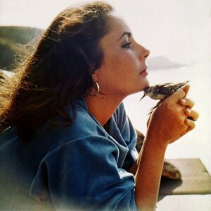 Liza Minnelli Instagram - I knew Elizabeth from the time I was 4 years old. Here, my friend appears in a scene from one of my father’s films “The Sandpiper”. Elizabeth was a great doer, with such a powerful personality! Elizabeth loved people and life. She revolutionized research, treatment and care for the HIV/AIDS pandemic. Happy #heavenly #birthday Elizabeth! I love you. 
#ElizabethTaylor