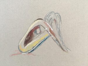 Loan Chabanol Instagram - WOWAN #woman #pastels @loanimation #art on C.A.N.S.O.N