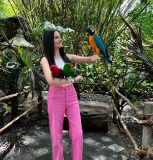 Loide Christina Teixeira Instagram - Yuk kita pulang 🇧🇷 Macaw Amazon (Arara)