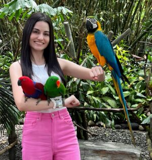 Loide Christina Teixeira Instagram - Yuk kita pulang 🇧🇷 Macaw Amazon (Arara)