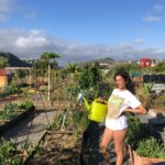 Lola Rodríguez Instagram - mojito canario