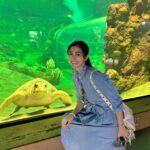 Lorene Ren Instagram - 第一次的road trip🚗 這趟美西行特別租了車 因為想感受一下road trip 其中一站來到聖地牙哥 圖6圖7的衣服季節特別不一樣 是因為我今年因緣際會去了兩次😆 一次冬天，一次秋天 圖1：聖地牙哥景點最多的就是海景海景海景，我好喜歡在海邊看夕陽🌅 圖2：海洋世界門口跟芝麻街合照 圖3：會看鏡頭的海龜！ 圖4：拉荷雅海灣的海獅超多，每隻都慵懶慵懶的，還可以跟他們一起游泳🏊 圖5：巴爾波公園好大好美，可以順便去動物園走走，只是腳可能會走到快斷掉🥹 圖6：中途島號博物館我真的大推，可以走進只有在電影裡才看得到的航空母艦 圖7：我也是會拍蠻有(ㄉㄧㄡ)趣(ㄌㄧㄢˇ)照片的🤣 圖8：從洛杉磯前往聖地牙哥路上的Manhattan Beach Pier 圖9：拉斯維加斯篇忘了放的胡佛水壩