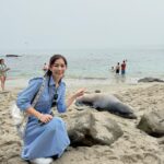 Lorene Ren Instagram - 第一次的road trip🚗 這趟美西行特別租了車 因為想感受一下road trip 其中一站來到聖地牙哥 圖6圖7的衣服季節特別不一樣 是因為我今年因緣際會去了兩次😆 一次冬天，一次秋天 圖1：聖地牙哥景點最多的就是海景海景海景，我好喜歡在海邊看夕陽🌅 圖2：海洋世界門口跟芝麻街合照 圖3：會看鏡頭的海龜！ 圖4：拉荷雅海灣的海獅超多，每隻都慵懶慵懶的，還可以跟他們一起游泳🏊 圖5：巴爾波公園好大好美，可以順便去動物園走走，只是腳可能會走到快斷掉🥹 圖6：中途島號博物館我真的大推，可以走進只有在電影裡才看得到的航空母艦 圖7：我也是會拍蠻有(ㄉㄧㄡ)趣(ㄌㄧㄢˇ)照片的🤣 圖8：從洛杉磯前往聖地牙哥路上的Manhattan Beach Pier 圖9：拉斯維加斯篇忘了放的胡佛水壩