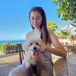 Lorene Ren Instagram - 趁好天氣帶小賓出來走走🐶☀️ 大家平常都會帶家裡的毛小孩去哪呢？