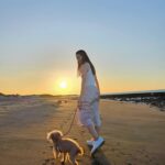 Lorene Ren Instagram - 趁好天氣帶小賓出來走走🐶☀️ 大家平常都會帶家裡的毛小孩去哪呢？