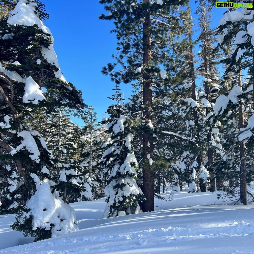 Lorenza Izzo Instagram - Eski 🍻 🎿 🌲 ⛄️