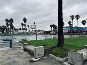 Lori Petty Instagram - Morning after and all is peaceful and sweet. We just drizzled over here‼️No rain this morning‼️Hope y'all are safe & I love U very much. Go create something fabulous today xx #venice #swipe
