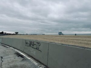 Lori Petty Instagram - Morning after and all is peaceful and sweet. We just drizzled over here‼️No rain this morning‼️Hope y'all are safe & I love U very much. Go create something fabulous today xx #venice #swipe