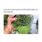 Lorraine Kelly Instagram - One of the best things I’ve ever seen - the wee happy clap at the end 😂