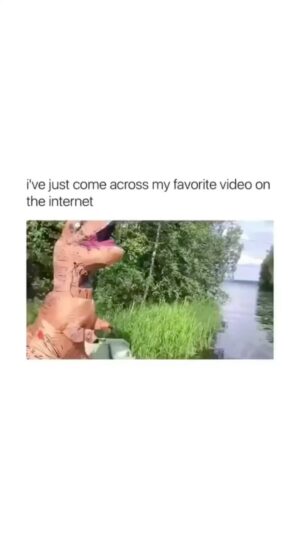 Lorraine Kelly Instagram - One of the best things I’ve ever seen - the wee happy clap at the end 😂