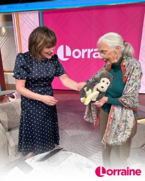Lorraine Kelly Instagram - Renowned for her groundbreaking work with chimpanzees in Tanzania and her tireless efforts as a conservationist, Dr Jane Goodall’s legacy is one of profound impact and enduring inspiration.

Jane brought a very special stuffed animal named Mr H to the studio, who has been with her since 1996. Swipe across to hear the story of Mr H from Jane herself ❤️ #Lorraine #JaneGoodall