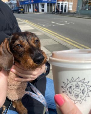 Lorraine Kelly Instagram - LOVE HER!! Just the cutest  Posted @withregram • @rubyisasausage For me?! ☕️