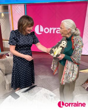 Lorraine Kelly Instagram - Renowned for her groundbreaking work with chimpanzees in Tanzania and her tireless efforts as a conservationist, Dr Jane Goodall’s legacy is one of profound impact and enduring inspiration.

Jane brought a very special stuffed animal named Mr H to the studio, who has been with her since 1996. Swipe across to hear the story of Mr H from Jane herself ❤️ #Lorraine #JaneGoodall