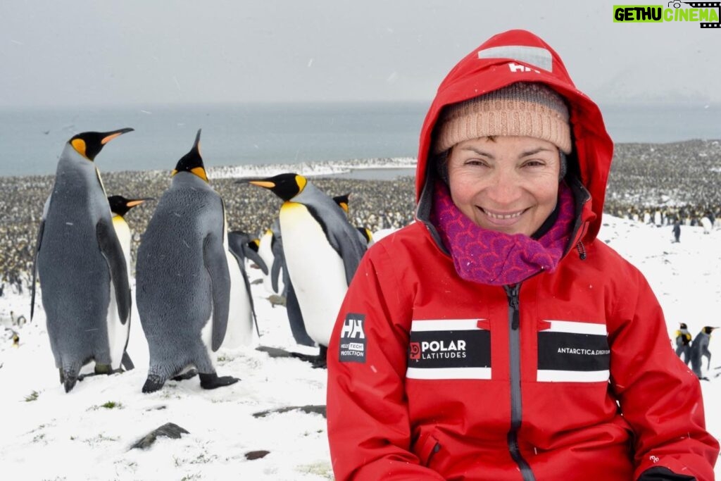 Lorraine Kelly Instagram - Happy World Penguin Day - me enjoying the company of glorious King Penguins in #antarctica #worldpenguinday