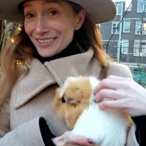 Lotte Verbeek Instagram - To be hired for all your Guinea Pig whispering needs 😻 #sillyanimals ♥️