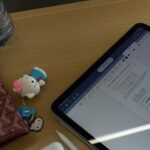 Luísa Gattai Instagram - 🦢* coletânea de fotos aleatórias da galeria * 🦢