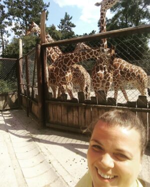 Lucie Polišenská Instagram - #zirafa #zoodvurkralove Představuju vám moje nové kámošky! 🤗🤗🤗