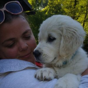 Lucie Polišenská Instagram - #goldenretriever Taky vám ti pejskové tak rychle vyrostli?taková malinká bublinka byla ❤️❤️❤️