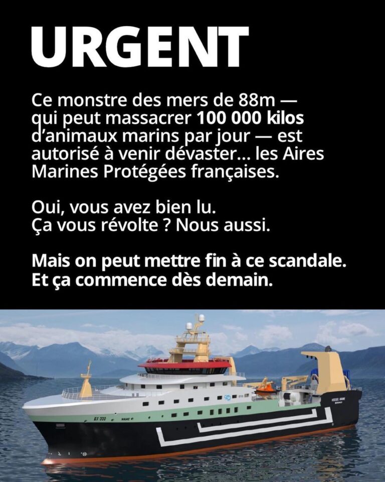 Lucie Lucas Instagram - 🚨Oui, vous avez bien lu. Ça vous révolte ? Nous aussi. Mais on peut mettre fin à ce scandale. Et ça commence dès demain. On se fixe jusqu’au 8 juin - journée mondiale de l’océan - pour arriver, étape par étape, à faire interdire ces destructeurs et toutes les méthodes de pêche destructrices dans les Aires Marines Protégées (AMP). Et nous avons une première étape concrète et stratégique dès demain. Et cela se passe en Bretagne. Pourquoi en Bretagne ? Parce que la Bretagne concentre un grand nombre d’aires marines protégées… ainsi qu’un grand nombre des pêches destructrices qui ravagent ces aires marines protégées. Et demain, le Conseil régional de Bretagne va adopter sa position sur la protection de l’océan. C’est un vote d’une haute importance. Les élus devront décider s’ils acceptent l’évidence : arrêter de détruire les zones qu’on appelle « protégées ». Les élus écologistes du Conseil régional ont déposé un vœu appellent le gouvernement à créer de « vraies » aires marines protégées en y interdisant les méthodes de pêche destructrices comme le chalutage. C’est ce vœu qui est voté demain. Ça ne paraît pas très ambitieux et pourtant, on en est là. ll faut se pincer pour y croire, on sait, mais c’est ainsi : en France, l’immense majorité des aires marines dites « protégées » (les « AMP »), ne le sont pas le moins du monde. Un bulldozer comme le Jan Maria, qui ravage les fonds marins, est parfaitement autorisé dans les AMP. C’est un véritable scandale. L’océan est le poumon de la planète, il absorbe un tiers de nos émissions de C02 et plus de 90% de nos excédents de chaleur. L’océan est de fait notre meilleur allié dans le combat que nous devons mener contre le dérèglement climatique. Nous devons le protéger. En commençant par protéger nos aires marines protégées en y interdisant le chalutage. C’est simple, c’est basique. COMMENT AGIR? 1. Interpellez le président de la région Bretagne @loig_cg en commentaire. 2. Rejoignez la coalition citoyenne pour l’océan (lien en BIO) Nous comptons sur vous. Claire et Lucie