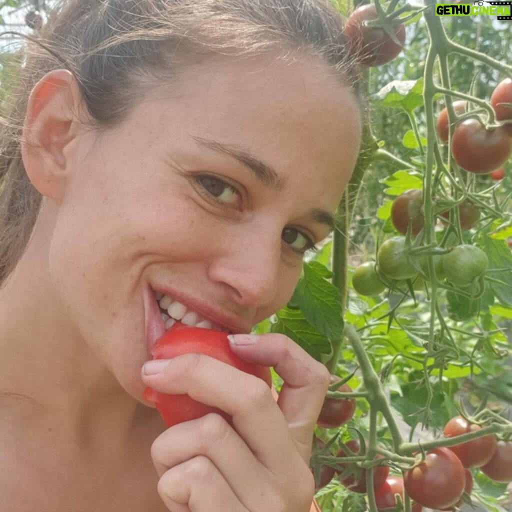 Lucie Lucas Instagram - Les copaines ☀️ L’été est presque fini et laisse derrière lui ce goût doux-amer… Celui des souvenirs de vacances, des moments partagés avec ceux qu’on aime, du temps long et bon, mais aussi celui des chaleurs étouffantes, de la sécheresse et des incendies à répétition… Alors ici à la @fermedelavillelambert nous préparons le monde de demain, celui qu’on veut durable, sain, et inspirant ✨ Nous construisons un sanctuaire où la vie a sa place partout, sous toutes ses formes. À chacun de nous de trouver son chemin pour donner du sens à notre avenir 🌱