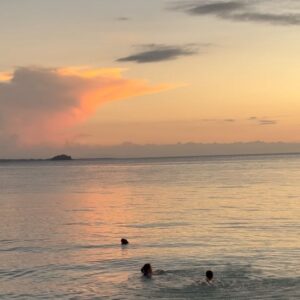 Lucie Rhéaume Instagram - Après 5 ans passés sur mon vision board, mon voyage dans l’une des destinations que j’ai le plus rêvé de faire se concrétise enfin: hello Philippines.🥹👋🏼

On commence en force sur l’île de 1,5km de long reconnnue mondialement pour sa plongée: Malapascua.

La particularité de cet endroit: il s’agit du seul endroit au monde où il est possible de plonger et de voir de manière naturelle et 100% assurée les requins renards (Thresher Sharks), une espèce actuellement considérée vulnérable. Ceux-ci fréquentent toujours les mêmes endroits autour de l’île, qui représentent pour eux des « stations de nettoyage » où ils se font nettoyer par des petits poissons (ces espèces vivent en symbiose). Nous avons eu la chance de non seulement les voir de près, mais aussi d’observer un mâle et une femelle qui valsaient - ceux-ci se tiennent normalement à des profondeurs différentes donc il est rare de les voir réunis. Déjà complètement en amour avec cet endroit.🥹💌