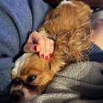 Ludovica Gargari Instagram - Gennaio è acqua e zucchero