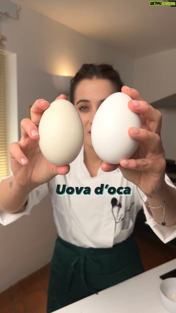 Ludovica Gargari Instagram - Un Dolce cremoso senza Forno , ma con le Uova d’Oca 🥚 le avete mai viste ?! sono due volte piuttosto grandi di quelle normali, e sono ricche di ferro e vitamine , ma voi potete usare anche quelle normali ! 4 tuorli normali o 2 di uova d oca 100 g di zucchero di canna 30 g di amido di mais 1/2 litro di latte o bevanda vegetale vaniglia amaretti qb mandorle lamelle qb caffe 2 tazzine mescolate tuorli zucchero vaniglia e amido e versatevi sopra il latte bollente e portate sul fuoco facendo addensare e spostate in una ciotola, se vi si formano grumi dategli una frullata con il minipimer bagnate gli amaretti di caffe e componete come nel video 🇬🇧 4 normal yolks or 2 of oca eggs 100 g of brown sugar 30 g of cornstarch 1/2 litre of milk or vegetable drink Amaretti to taste Almonds to taste Coffee, 2 cups Mix sugar and starch yolks and pour boiling milk over it and bring to the fire by thickening Wet the macaroons with the coffe and compose as in the video you can do it also without oca eggs #dolcisenza #dolceitaliano #cremapasticcera #chef #pastrychef #ricettefacili #ricetteveloci #cucinaitaliana