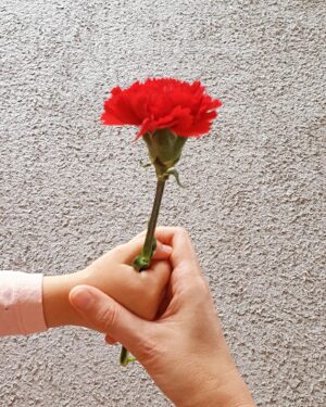 Luísa Barbosa Instagram - Esta madrugada, acordei com fogo de artifício e eu só pensava: "Deus queira que a miúda não acorde!"
Para o bem e para o mal, sinto que este ano os festejos do #25deabril são mais sentidos, mais fortes, talvez por sentirmos que são mais necessários. Se não por nós, pelos que nos seguem, pelos mais novos que só conhecem liberdade e não partilham da responsabilidade de a ter dado por garantida. 
Para que a minha miúda não acorde, um dia, vítima dos que desperdiçaram a Revolução dos Cravos.
#50anos25abril #25deabrilsempre #liberdade