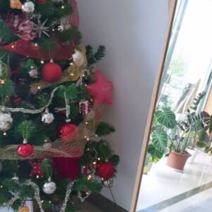 Luísa Barbosa Instagram - Venham de lá esses Grinches a criticarem o facto de já termos montado a nossa 🎄
Malta, isto ainda dá algum trabalho, por isso mais vale aproveitar o resultado o máximo de tempo possível. Além disso, este ano estreámo-nos a fazer alguns dos nossos próprios enfeites e estava mesmo curiosa para os colocar na árvore. Quem disse que uma girafa não podia ser natalícia? Basta pôr-lhe umas hastes de rena e um cachecol 😅 a pedido de dona Aura. Venha lá o próximo projecto: estou a imaginar uma casinha de #natal 😂