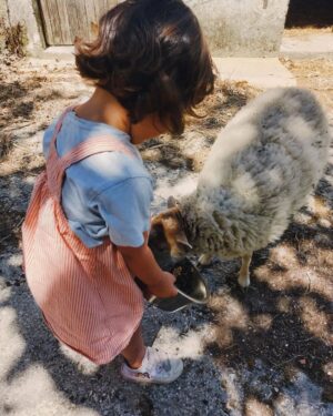 Luísa Sobral Instagram - Vim a casa por 3 dias. 

Estive fora uma semana mas tudo à minha volta parece ter mais um mês 🐑🍎👶🐓

#cenasdaquinta #luisasobral