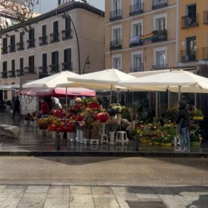 Luisa Rubino Instagram - ♡ madrizzzz ♡