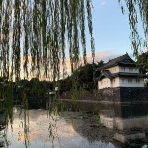 Lulu Wilson Instagram - 🇯🇵