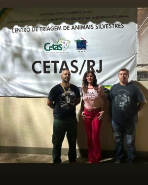 Luma de Oliveira Instagram - O texto é longo porque o assunto é muito sério. 
Fui ver rapidamente uma onça parda que está aguardando seu destino. 
Já está há 1 ano no Cetas do RJ, mas o seu martírio começou há 1 ano e meio quando foi capturada e aprisionada ilegalmente pelo dono de uma propriedade privada e mantida em condições precárias.
O delito que ela cometeu para ser aprisionada? Comeu 3 galinhas dessa propriedade. 

Já se encontrava desnutrida e desidratada quando o INEA foi chamado, e após resgata-la, foi encaminhada para o CRAS. 

Foram feitos exames e positivou para FIV, que é uma doença causada pelo vírus da imunodeficiência felina. 
Para realizar mais exames e esperar pelos resultados, foi levada para o CETAS de Seropédica, RJ. 
 
Tenho conversado com dois super profissionais, Leandro Nogueira que é chefe do CETAS/IBAMA 
e Marcelo Cupello, gerente de faunas do INEA (Instituto Estadual do Ambiente), todos torcem para que ela volte pra natureza, mas paralelamente estamos tentando conseguir um recinto adequado que possa recebê-la caso não seja possível o retorno para sua casa que é de direito. 
Se alguém quiser e puder adota-la, podendo oferecer estrutura para um animal silvestre, pode por gentileza, me contactar pelo DM e eu direciono para os profissionais. Essa criatura linda e rara pode precisar da piedade de alguém 
para ter uma vida digna. 

Essa semana os laudos finais foram encaminhado para o Ibama de Brasília e lá será definido sua vida. 
 
Ela só tem contato com o tratador, eu fiquei perto menos de um minuto. 
Fui ajudar um pouco levando carne pra ele (o puma é um macho jovem) e ver os outros animais que estão lá por serem vítimas do tráfico e/ou maus-tratos. 
 
No final do vídeo ela olhando para a janela, foi de cortar o coração.💔 

@alexalves_oficial , afilhado, obg pela força.
