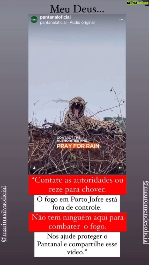 Luma de Oliveira Instagram - Vejam o vídeo! Você pode compartilhar? Por favor? Onças, aves, macacos, etc, estão perdendo “suas casas”. Para fugir do fogo, algumas espécies vão para a estrada e acabam morrendo atropeladas. Isso é uma tragédia, sim! 🔥🐆🐒🔥 @marinasilvaoficial @mauromendesoficial