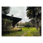 Luz Valdivieso Instagram - Pangal. La casa donde mi mamá vivió sus primeros años.. nos contaba tantas historias aquí! Todo el día a caballo.. no iba al colegio le enseñaban en la casa, carreras aterrada por la galería desde la cocina donde le contaban historias de miedo hasta donde estaban los “grandes”… me imagino con sus inseparables “la Carmen y mi hermana”… Por ahí deben andar la Carmen y la Luca…❤️❤️🙏🏻 @margarita.ovalle.l @trinipo