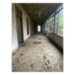 Luz Valdivieso Instagram - Pangal. La casa donde mi mamá vivió sus primeros años.. nos contaba tantas historias aquí! Todo el día a caballo.. no iba al colegio le enseñaban en la casa, carreras aterrada por la galería desde la cocina donde le contaban historias de miedo hasta donde estaban los “grandes”… me imagino con sus inseparables “la Carmen y mi hermana”… Por ahí deben andar la Carmen y la Luca…❤️❤️🙏🏻 @margarita.ovalle.l @trinipo