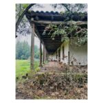 Luz Valdivieso Instagram - Pangal. La casa donde mi mamá vivió sus primeros años.. nos contaba tantas historias aquí! Todo el día a caballo.. no iba al colegio le enseñaban en la casa, carreras aterrada por la galería desde la cocina donde le contaban historias de miedo hasta donde estaban los “grandes”… me imagino con sus inseparables “la Carmen y mi hermana”… Por ahí deben andar la Carmen y la Luca…❤️❤️🙏🏻 @margarita.ovalle.l @trinipo