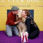 Lydia Hearst Instagram - There is no love like the love of an Otterhound. Zoltar is such a wonderful dog and a perfect representation of the breed; he truly makes our lives and our family complete. ❤️