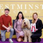 Lydia Hearst Instagram - We are beyond thrilled and proud of our good boy for taking home the prize for Best of Opposite Sex BOS 🏅 It was a beautiful day in queens at the Billie Jean King tennis center. @westminsterkennelclub is a conformation competition for purebred dogs and is a place where rare breeds, like the #Otterhound can truly shine. If you’ve never heard of this breed, there’s an even greater chance that you have never ever seen one; sadly, the Otterhound becomes more rare every year and is considered the most at risk dogs of being "forgotten” and disappearing completely, and we are grateful for this opportunity to showcase our dog and the breed itself.  Even if you don’t know anything about dog shows, it’s easy to get caught up in the excitement of it all when you see it in person. Everybody in the dog world wants to be there, and it’s a chance to be amongst your peers and go head-to-head with your greatest competition.