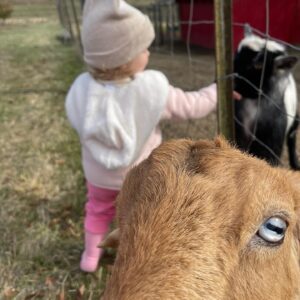 Lydia Hearst Instagram - Apple picking and goats ♥️