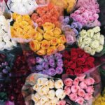 Lydia Night Instagram - i feel so basic posting this BUT LOOK HOW PRETTY!!!!!!!