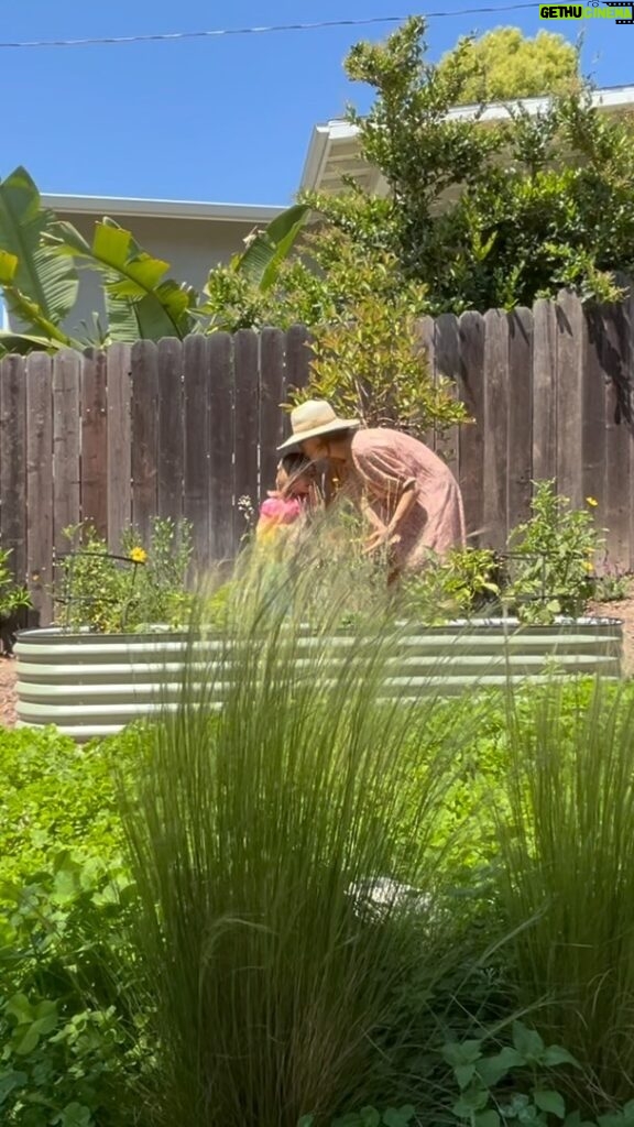 Lyndsy Fonseca Instagram - So grateful to have our little garden to teach my daughter about the benefits of eating locally, especially living in a big city! It’s quickly become one of my favorite ways to bond with my kids 🍅🌿